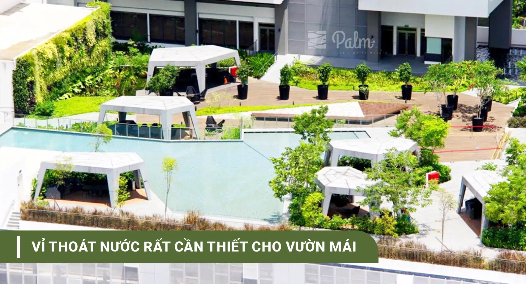 Vỉ thoát nước là gì? Phân loại và công dụng của Vỉ thoát nước